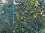 7younasi070923d_u2.jpg