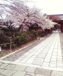 P1000018.JPG
