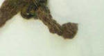 201104281418000.jpg