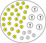 2007 SprintLayout