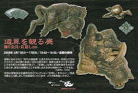 debe1a08.jpg
