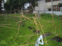 2358969e.jpg