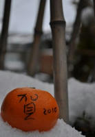 d20f1421.jpg