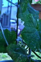 15f874d3.jpg