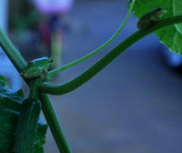 32408b81.jpg