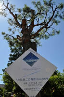 a0fbd910.jpg