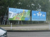 35e16b66.jpg