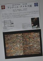 7bc27376.jpg