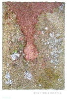67b9600b.jpg
