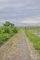 9b617d71.jpg