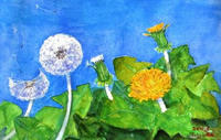 45f2d0d6.jpg