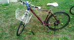 20110410135600.jpg