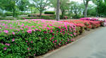 20110505130352.jpg