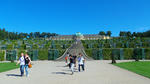IMGP0421.jpg