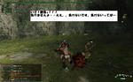 mhf_20090121_005734_328.jpg