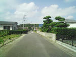 286.jpg