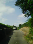 305.jpg