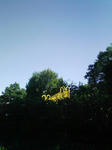 356.jpg