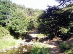 357.jpg