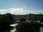230.jpg