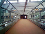 DVC00231.JPG