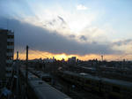 IMG_5887.JPG