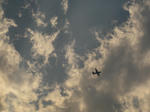 IMG_7210.JPG