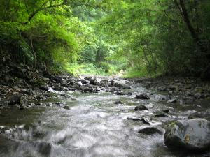 川遊び