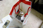 20120107001.jpg