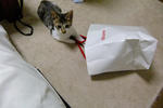 20120107002.jpg