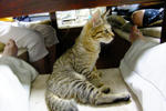 20120107003.jpg