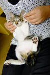 20120107004.jpg