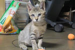 DSCF0460.jpg