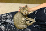 DSCF0495.JPG