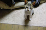 DSCF0504.JPG