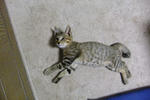 DSCF0514.JPG