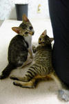 DSCF0534.JPG