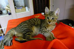 DSCF0707.JPG