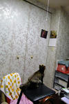 DSCF0829.JPG