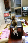 DSCF0830.JPG