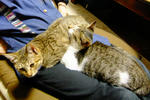 DSCF0842.JPG