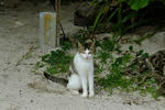 2012042503.jpg