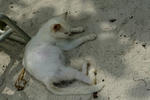 2012042502.jpg