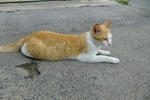 2012042501.jpg