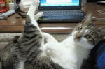 20130218_01.jpg