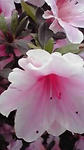 09-05-05_005.jpg