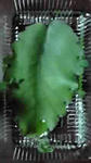 10-10-24_001.jpg