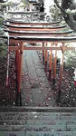 10-12-11_003.jpg
