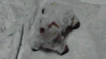 11-02-20_002_001.jpg