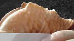11-05-14_009.jpg